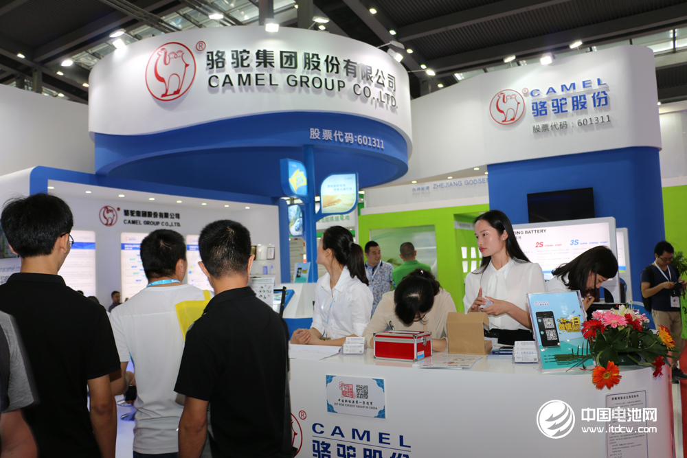 駱駝股份 駱駝股份