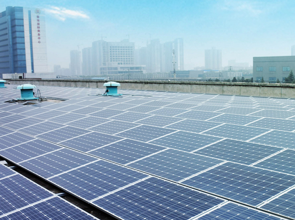 隆基股份 隆基股份