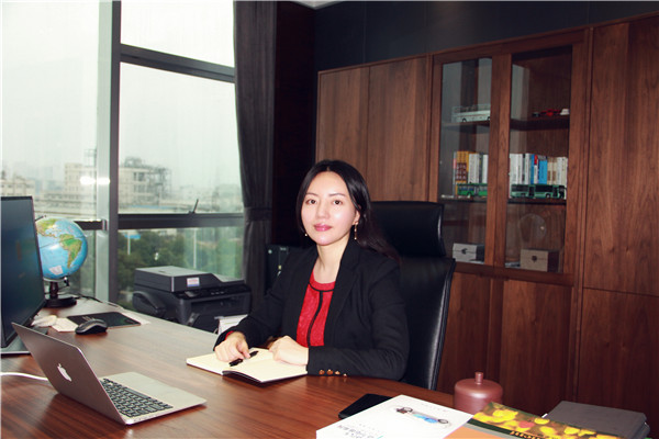 微宏動(dòng)力高級(jí)營(yíng)銷副總裁何欣