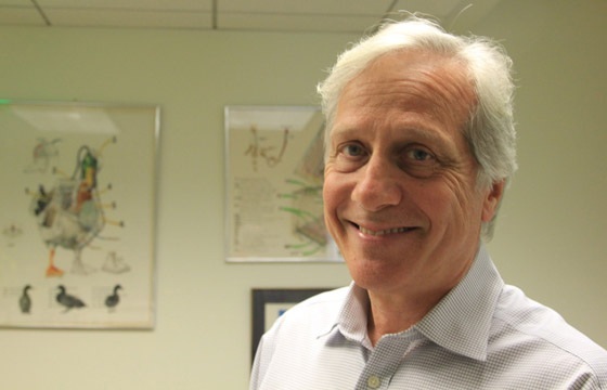 科學家自述：曾為世界節省15%電量 如今找到硅替代物