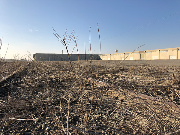 探訪賈躍亭美國造車工廠：沒有任何生產設備 僅一名員工打卡