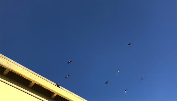 探訪賈躍亭美國(guó)造車工廠：沒(méi)有任何生產(chǎn)設(shè)備 僅一名員工打卡