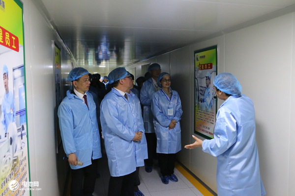 惠眾圖強 共筑夢想：惠強新材二期年產(chǎn)1.5億平動力隔膜項目投產(chǎn)