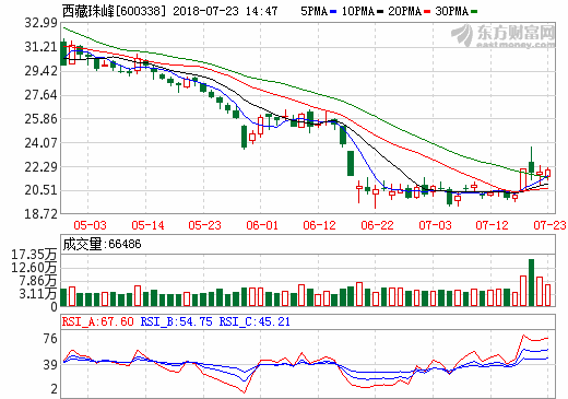 目光投向南美鋰鹽湖項(xiàng)目 西藏珠峰一路探尋全球產(chǎn)業(yè)“美景”