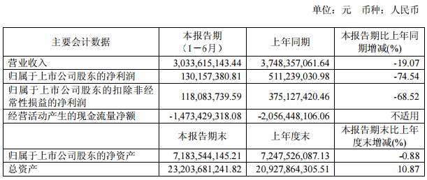 冠城大通主要會計數據和財務指標 冠城大通主要會計數據和財務指標