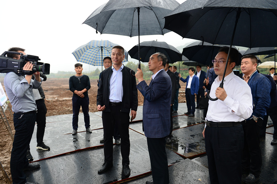 山西省委常委、常務副省長林武蒞臨山西藍科途調研指導工作