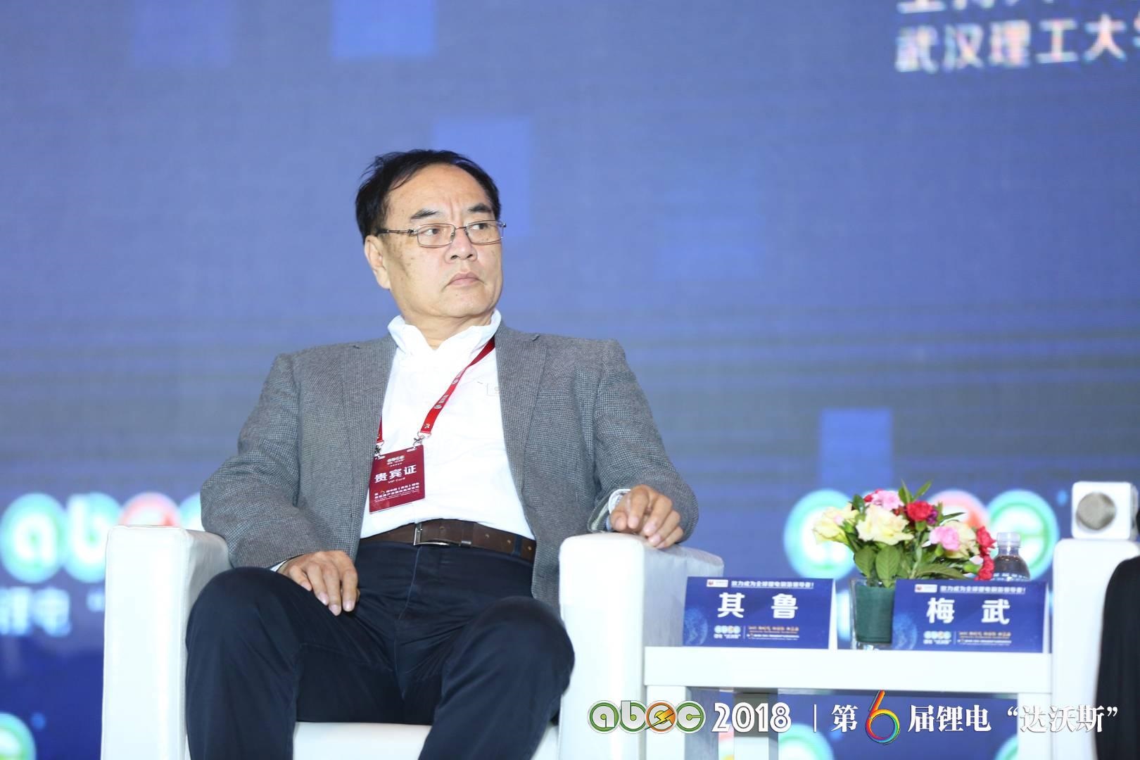 北京大學教授、鋰電“達沃斯”學術委員會主席其魯教授
