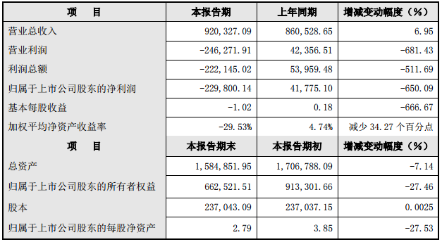 大洋電機2018年度主要財務數據和指標(單位:萬元) 大洋電機2018年度主要財務數據和指標(單位:萬元)