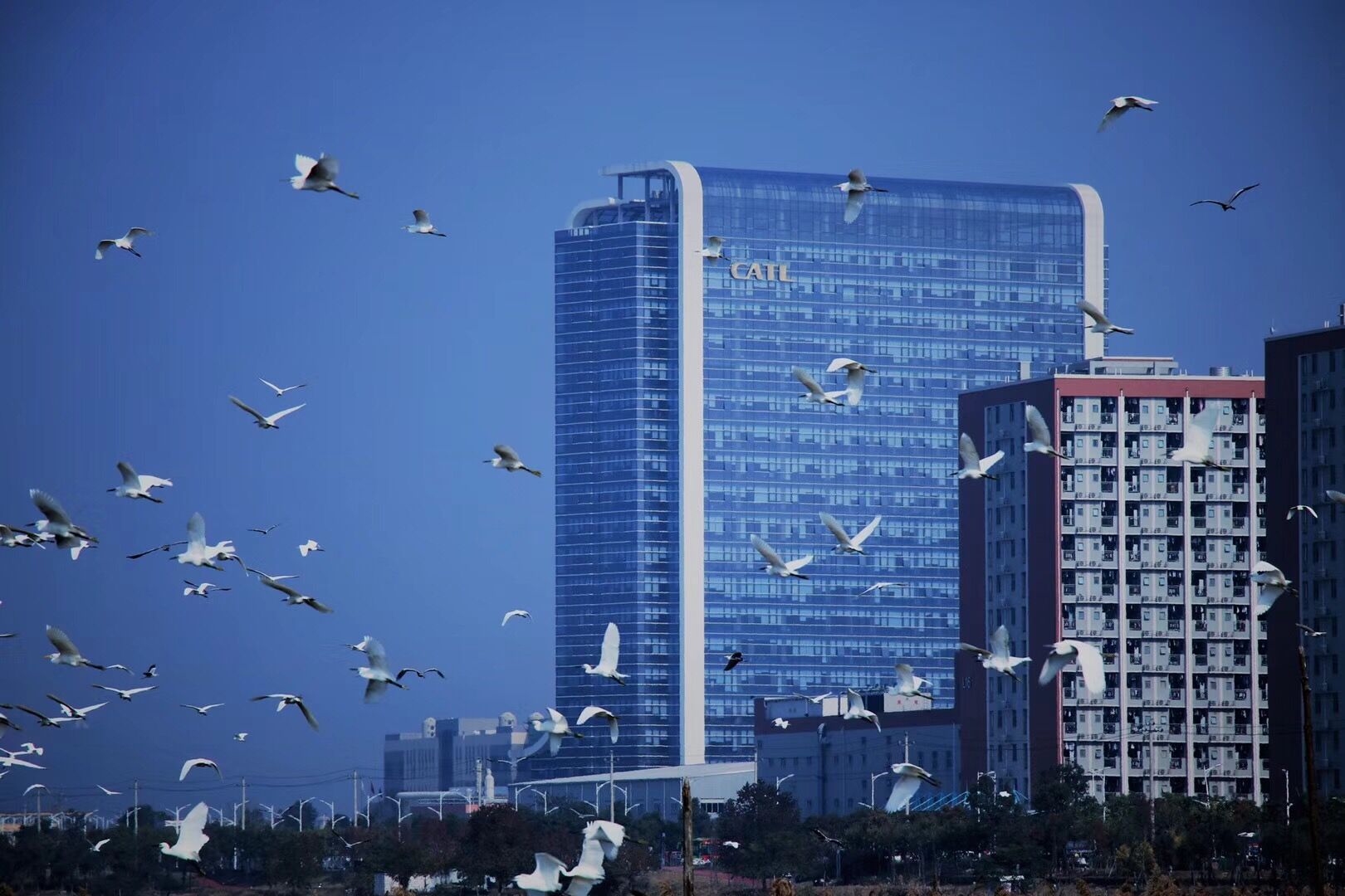 寧德時代2018年營收296.11億元 動力電池裝機量達23.5GWh