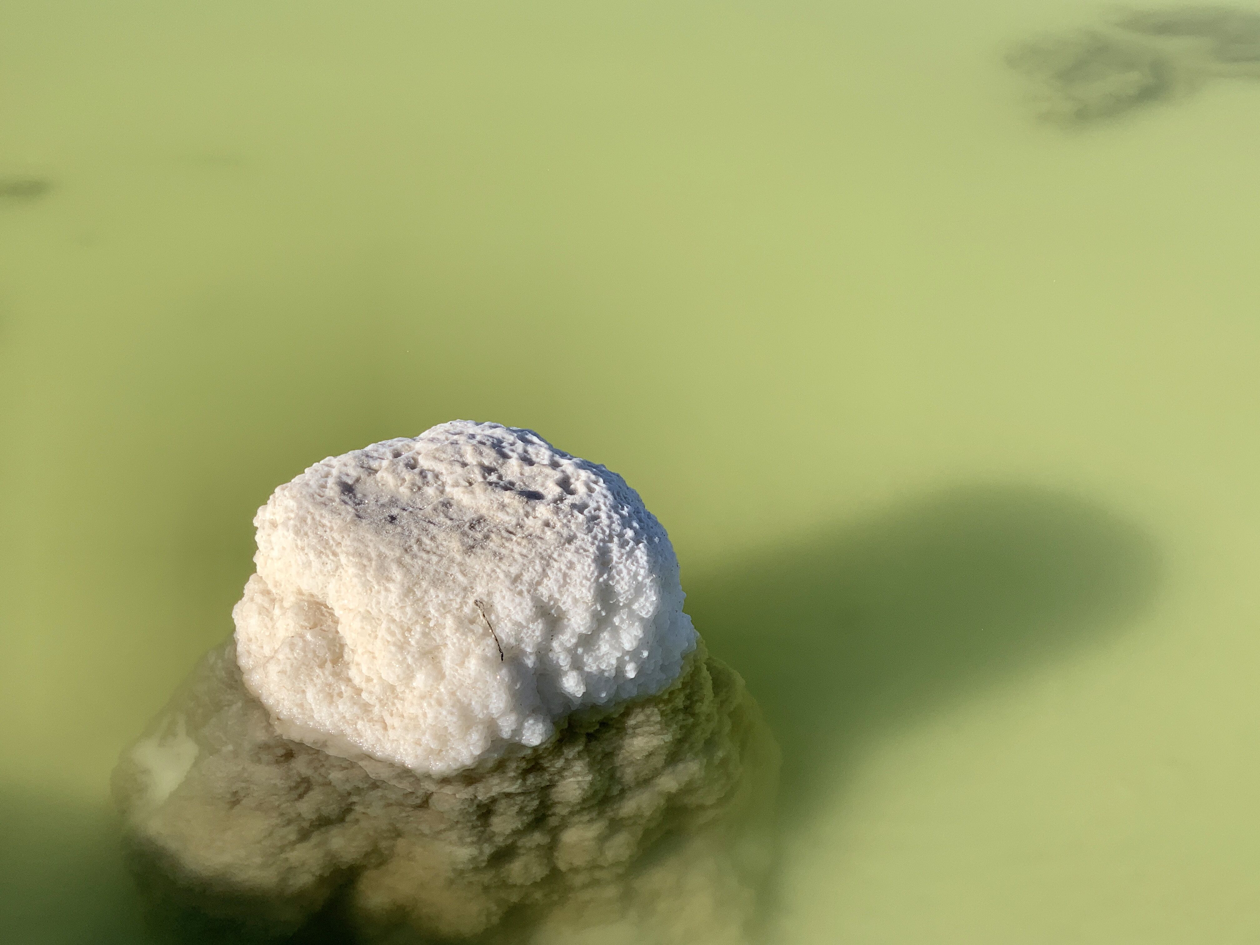 2018年我國(guó)鋰產(chǎn)品出口4.23萬(wàn)噸 氫氧化鋰凈出口量2.6萬(wàn)噸