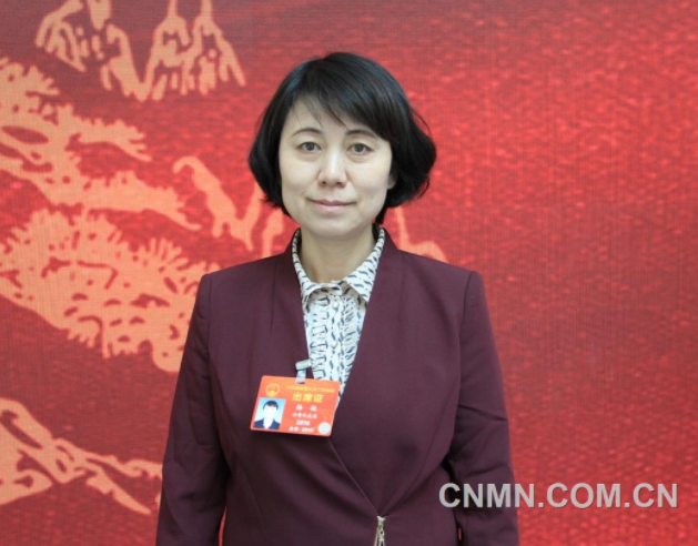 楊艷:進一步加大對鎳鈷資源綜合利用的支持力度 楊艷:進一步加大對鎳鈷資源綜合利用的支持力度