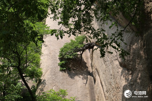 電池百人會“問道”嵖岈山與會嘉賓參觀游覽嵖岈山 探尋新能源發(fā)展“真經(jīng)”