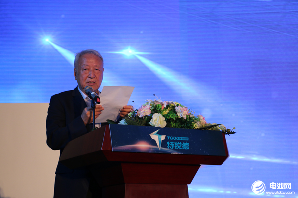 國家新能源汽車創(chuàng)新工程項目專家組組長王秉剛