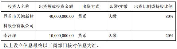 公司及各投資人、股東的投資規模、方式和持股比例