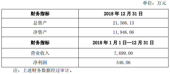 新源動力2018年的主要財(cái)務(wù)數(shù)據(jù)