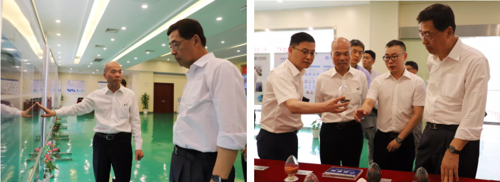 韓國LG化學CEO辛學喆副會長一行參觀考察華友衢州產業園