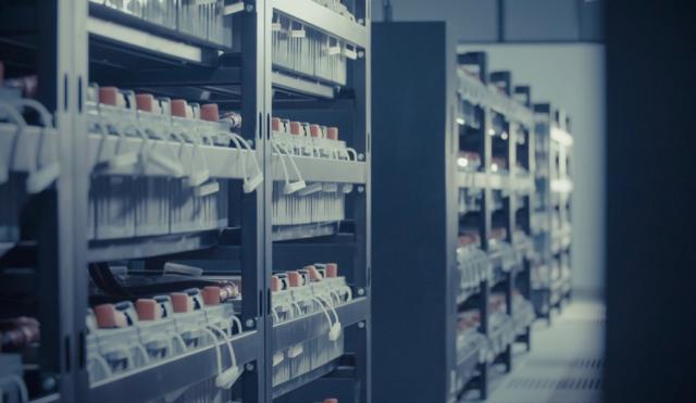 雷諾2025年擬推無鈷固態電池  能否突破技術和資源制約？