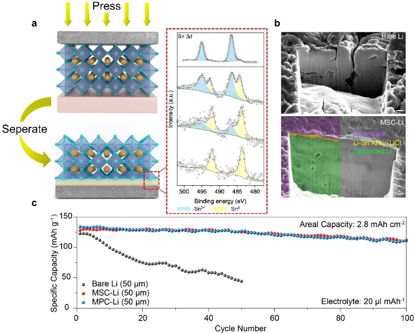 中國科大等在金屬鹵化物鈣鈦礦導鋰層穩定鋰電池方面取得進展
