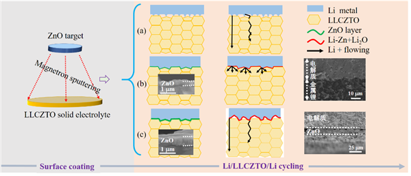 圖1. 通過磁控濺射在固態電解質表層濺射不同厚度的ZnO鍍層對界面穩定性及鋰離子傳輸過程影響示意圖。（a）無過渡層；（b）少量ZnO；（c）大量ZnO。