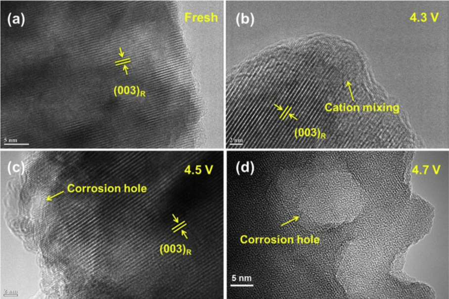 喊話特斯拉：無鈷電池真的來了 突破800km續(xù)航！
