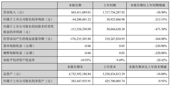ST安凱主要會計數據和財務指標