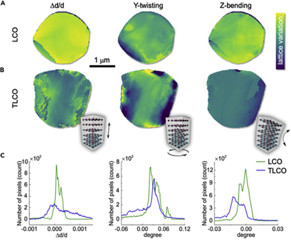  圖3. 未摻雜和Ti-Mg-Al摻雜LiCoO2顆粒內部結構缺陷分布對比