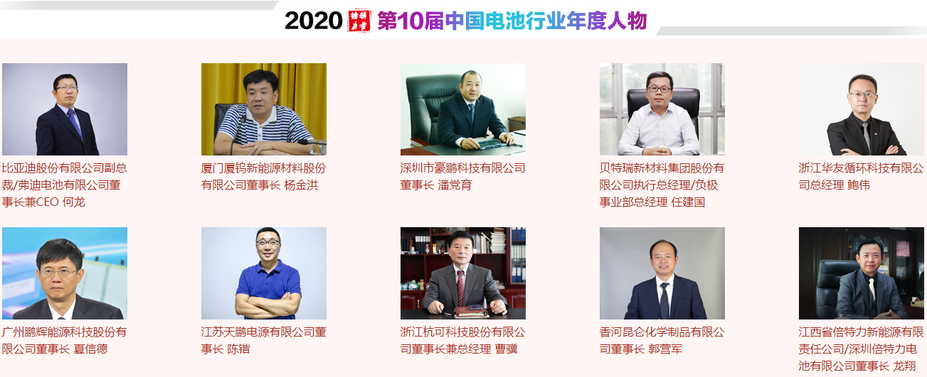 中國電池行業年度人物