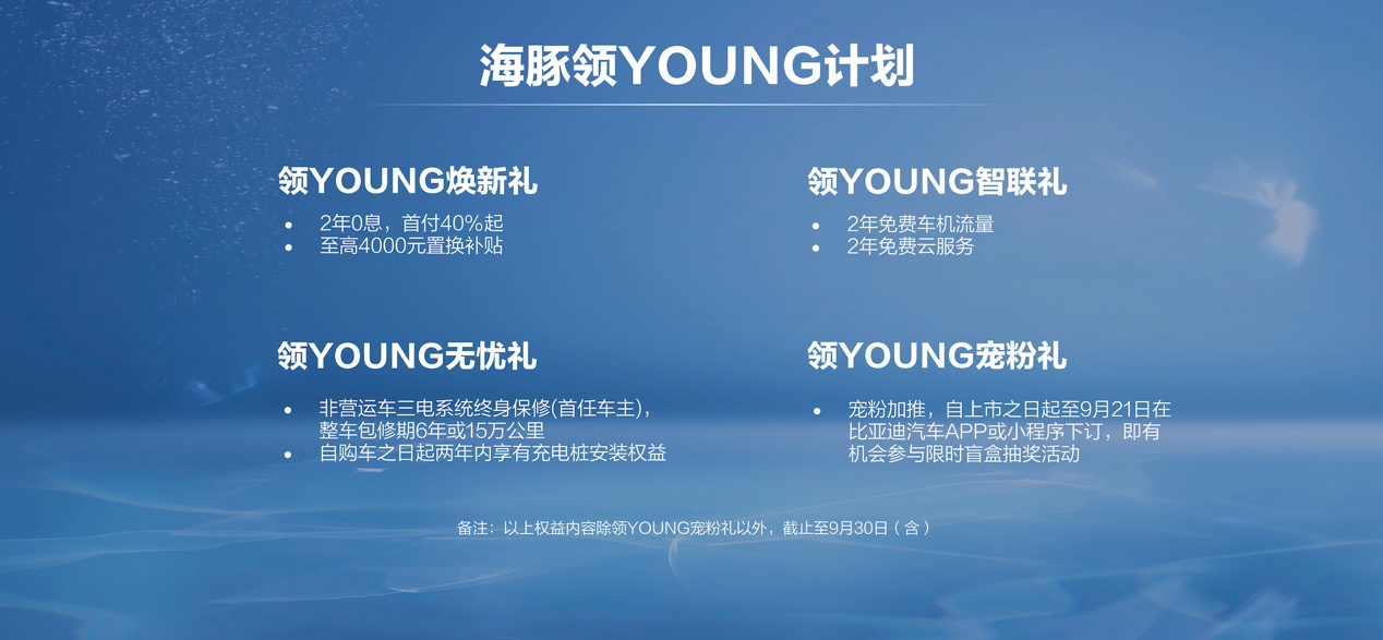 新能源汽車,比亞迪海豚,比亞迪