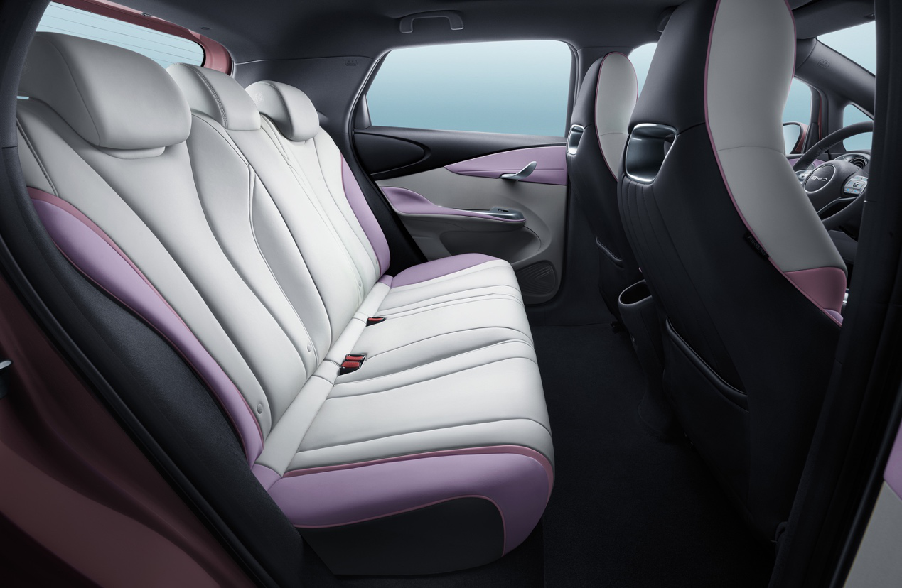 新能源汽車,比亞迪海豚,比亞迪