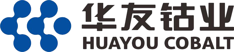 2021年中國電池行業(yè)優(yōu)秀供應(yīng)商：華友循環(huán)