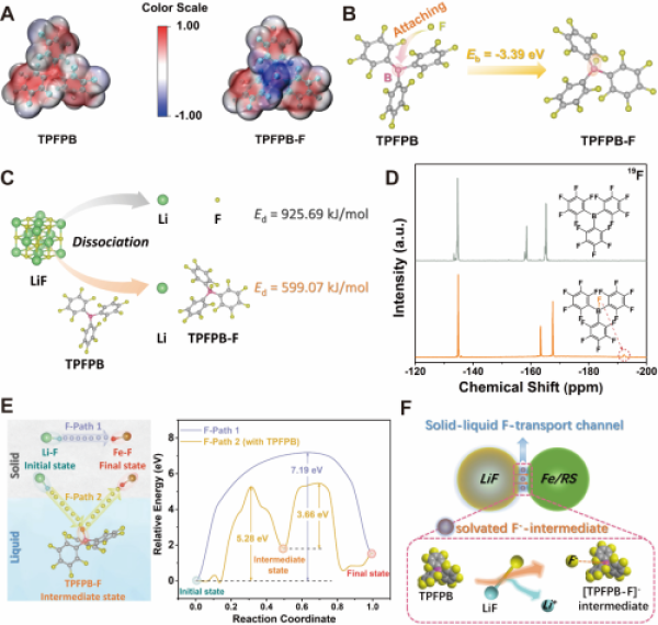 陰離子受體TPFPB輔助構建固液氟通道的表征分析