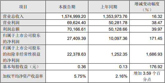 凌云股份2021年度主要財務數據和指標（單位：萬元）