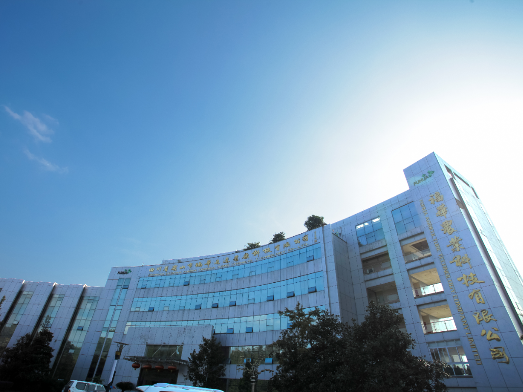 福華通達(dá) 福華通達(dá)