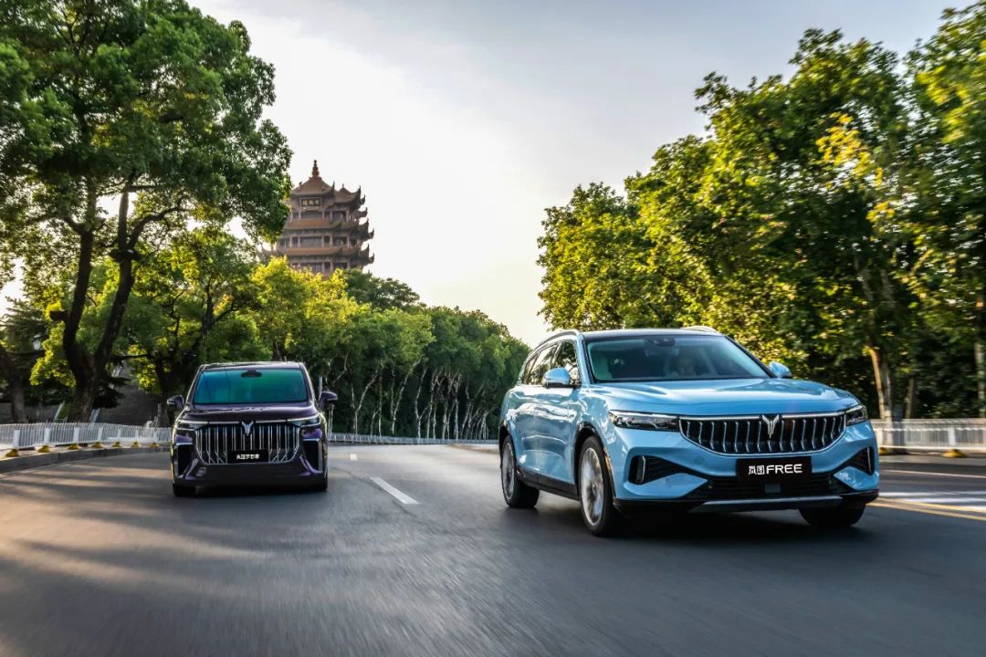 圖/嵐圖汽車 圖/嵐圖汽車