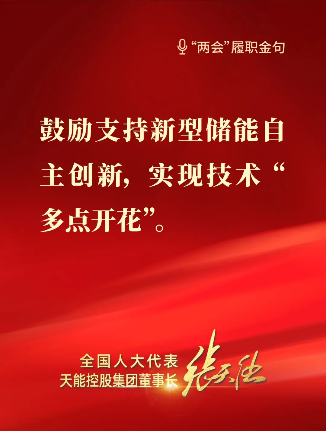 全國人大代表，天能控股集團董事長張天任