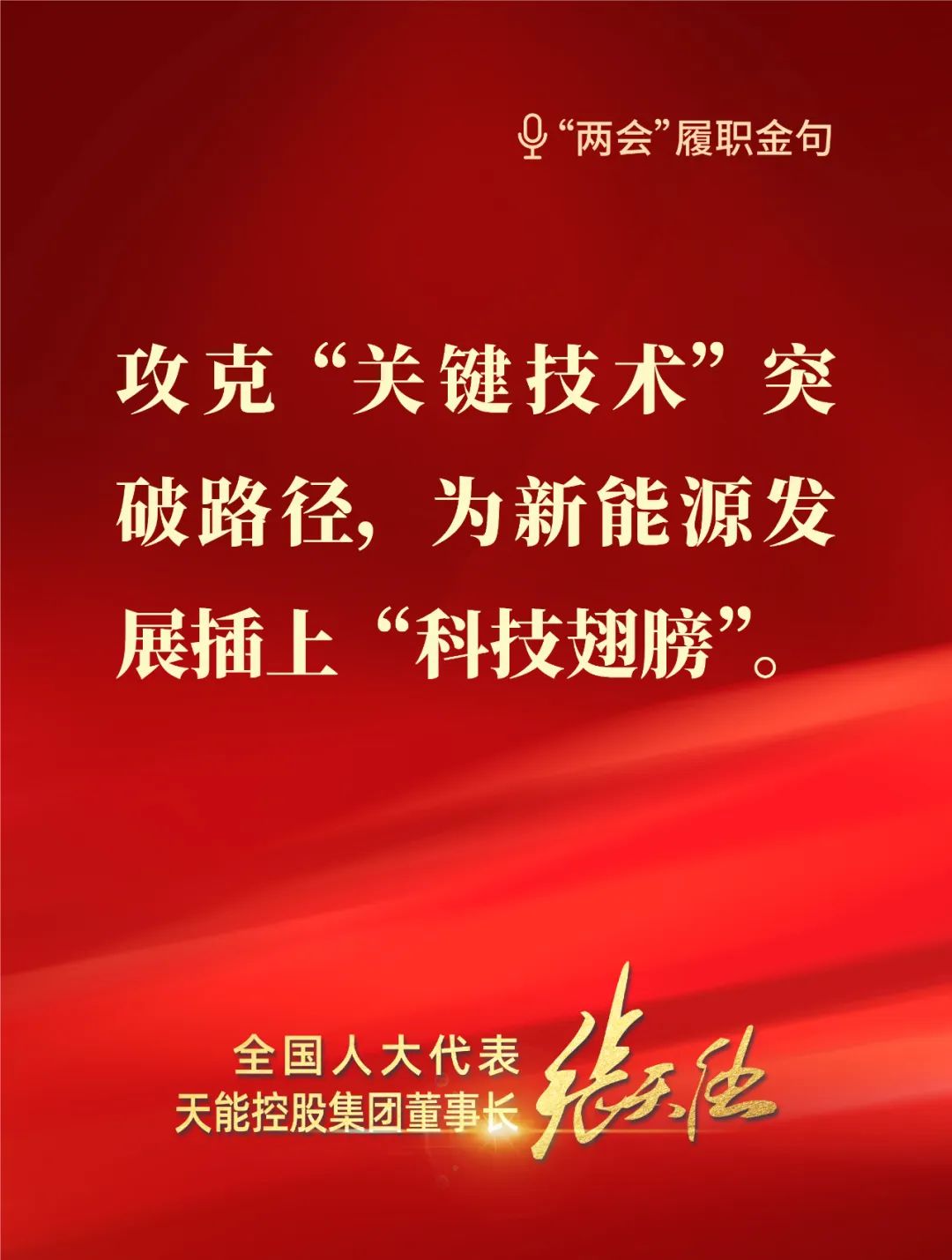 全國人大代表，天能控股集團董事長張天任