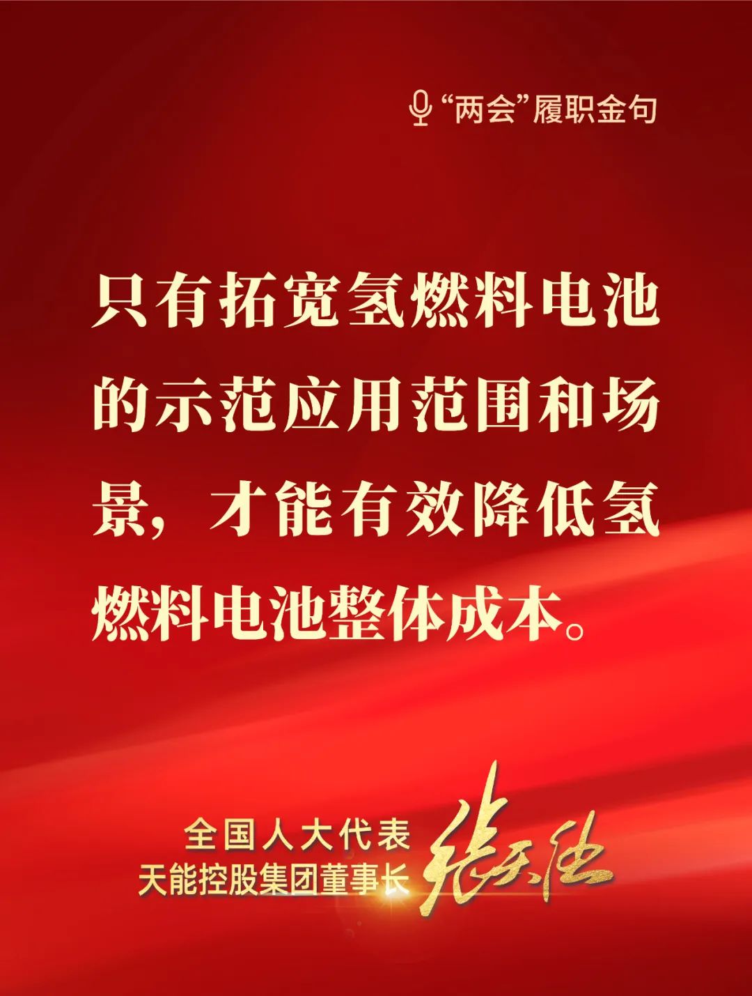 全國人大代表，天能控股集團董事長張天任