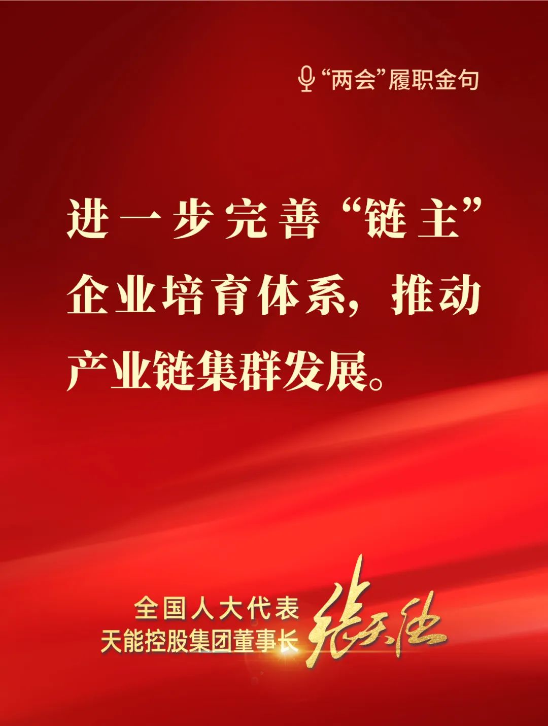 全國人大代表，天能控股集團董事長張天任