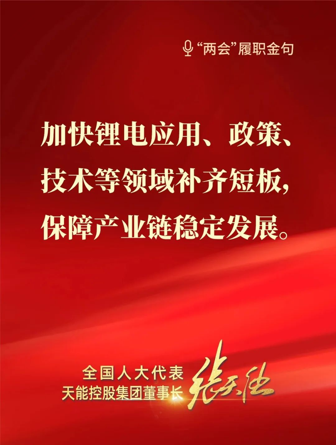 全國人大代表，天能控股集團董事長張天任