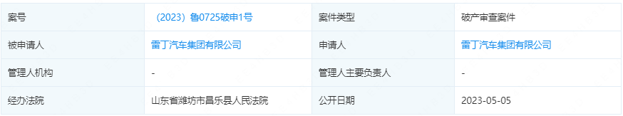 雷丁汽車集團有限公司