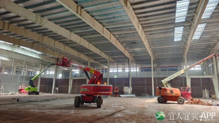 圖片來源：宜賓發(fā)布