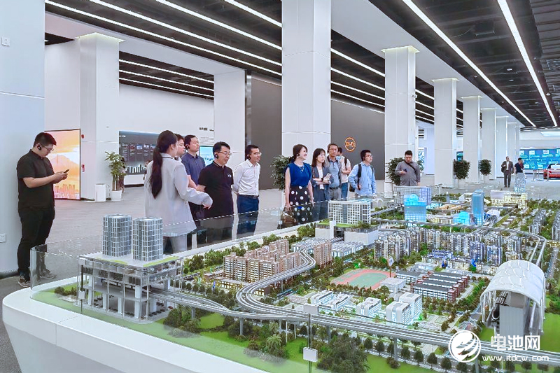 新能源汽車,比亞迪,動力電池