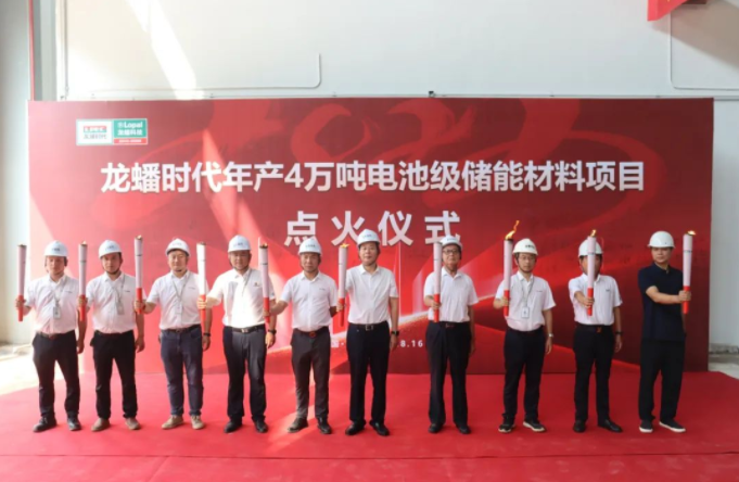 25億元！龍蟠科技與寧德時代合資電池級儲能材料項目點火