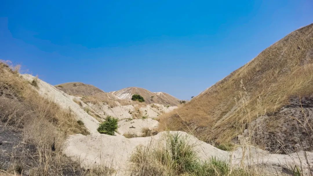 圖/紫金礦業 圖/紫金礦業