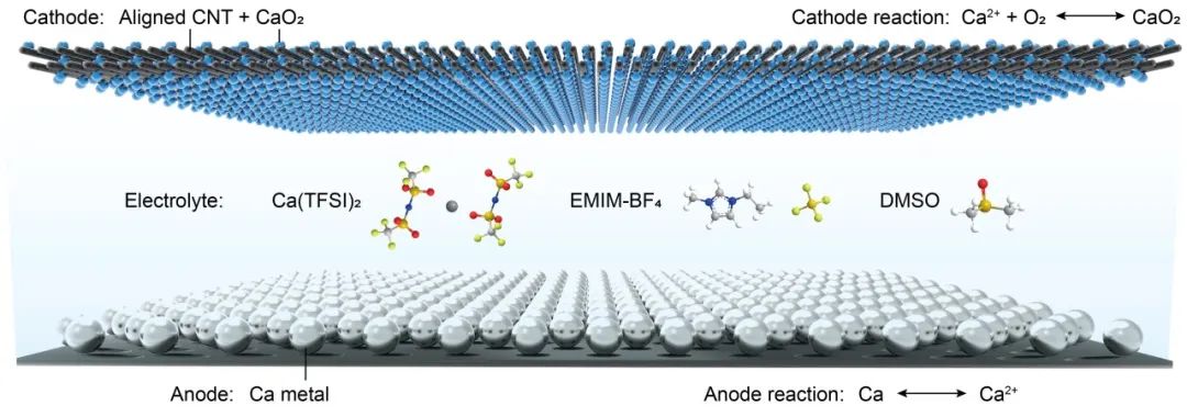 圖1. 鈣-氧氣電池結構示意圖 圖1. 鈣-氧氣電池結構示意圖