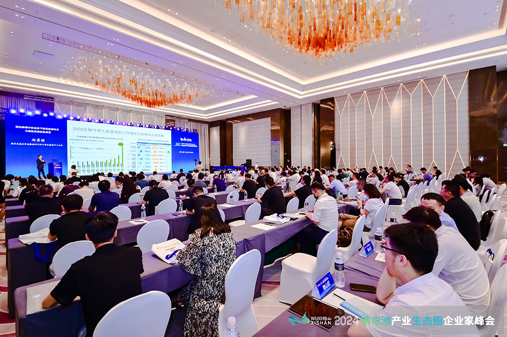 2024中國(無錫)鈉電池產業生態圈企業家峰會現場 2024中國(無錫)鈉電池產業生態圈企業家峰會現場
