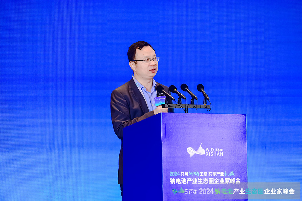 國家發展改革委能源研究所可再生能源中心主任趙勇強