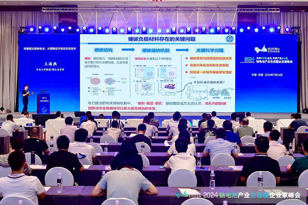 2024中國（無錫）鈉電池產業生態圈企業家峰會現場