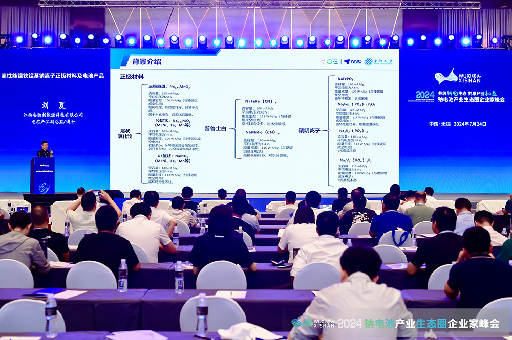 2024中國(無錫)鈉電池產業生態圈企業家峰會現場 2024中國(無錫)鈉電池產業生態圈企業家峰會現場