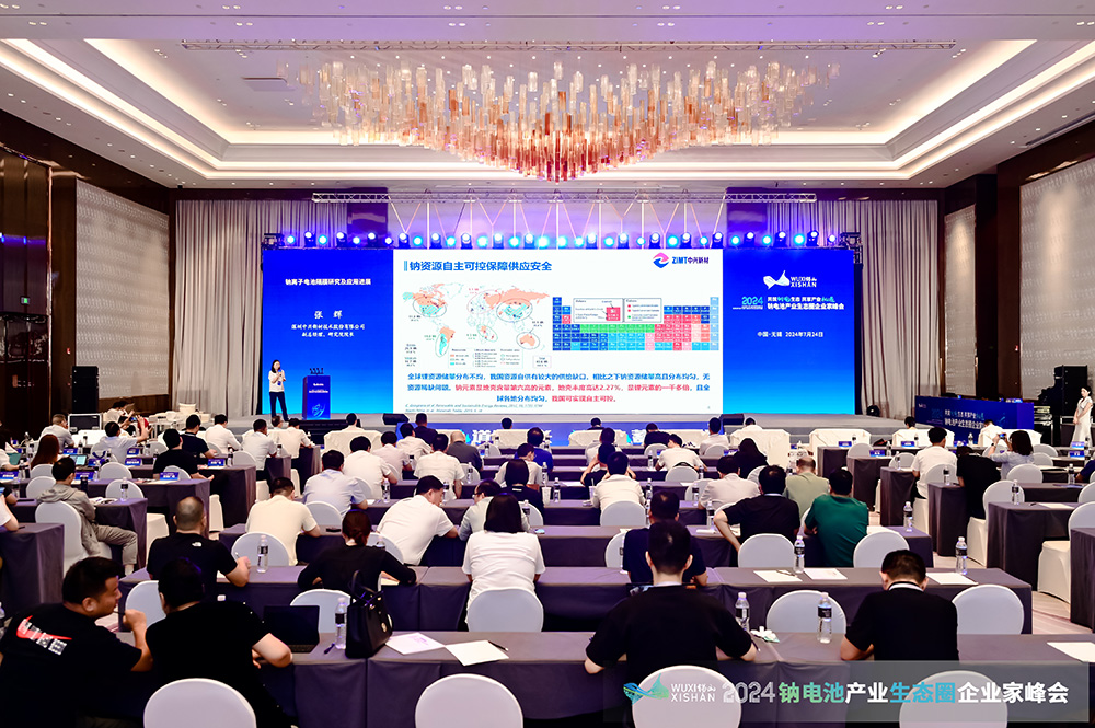 2024中國（無錫）鈉電池產業生態圈企業家峰會現場